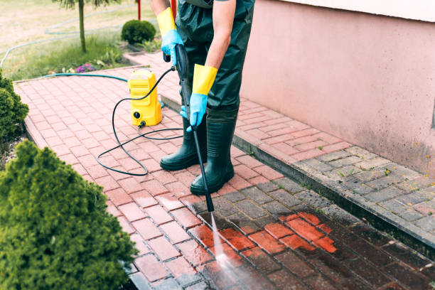 Best Soft Washing for Delicate Surfaces in March Ar, CA